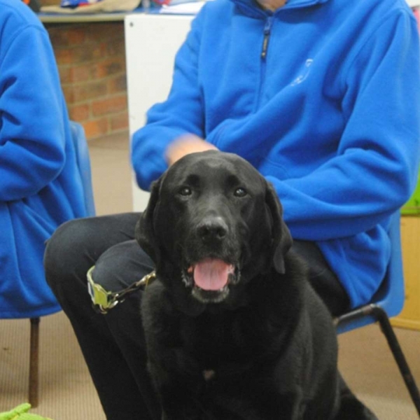 Harley the Guide Dog comes to Jubilee